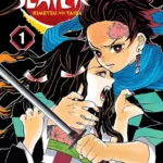 11 Demon Slayer- Kimetsu no Yaiba (manga) v01 - Copy