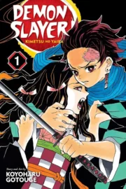 Demon Slayer- Kimetsu no Yaiba